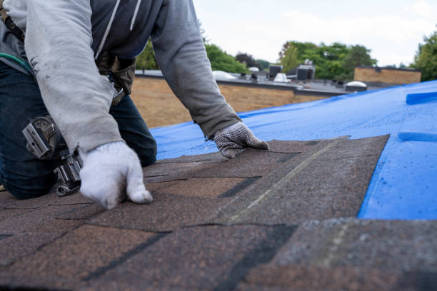 Gutter Installation and Roofing in Edwards, MS